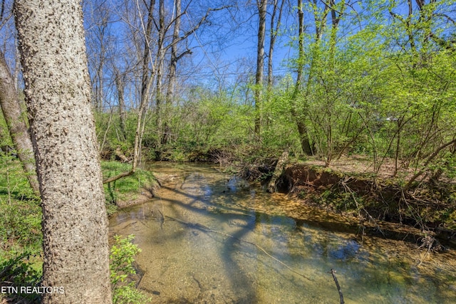 1112 Brookside Ave, Maryville, TN 37804 - water view