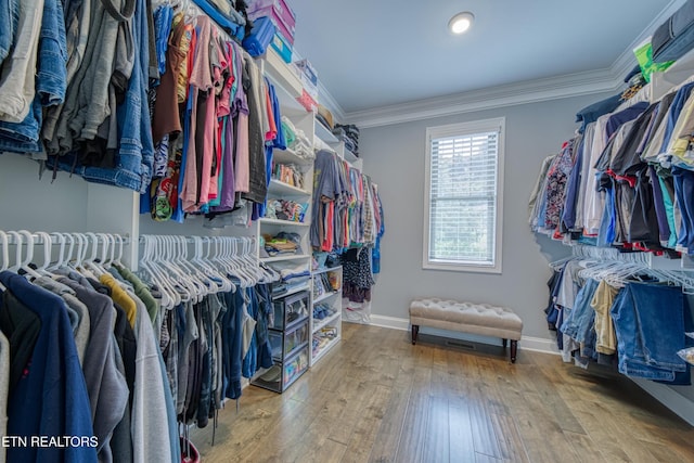 2023 Legacy Ln, Maryville, TN 37803 - walk in closet featuring wood-type flooring