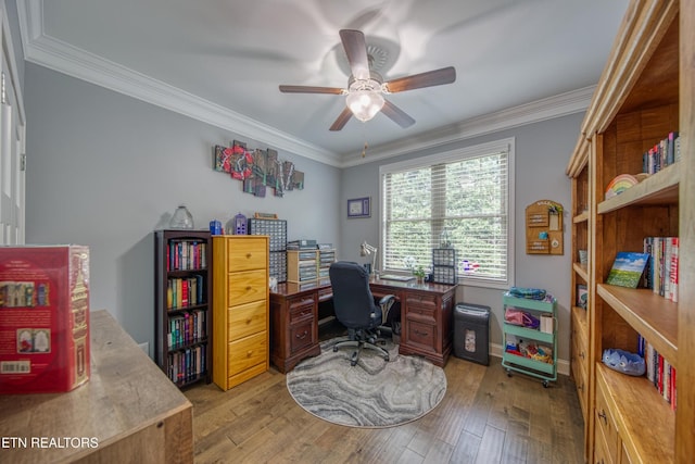 2023 Legacy Ln, Maryville, TN 37803 - home office with ceiling fan, light wood-type flooring, and ornamental molding