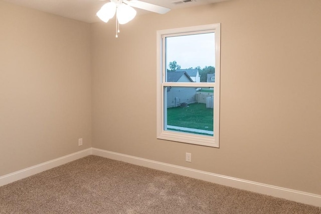 219 Donegal Dr, Clarksville, TN 37042 - photo 30