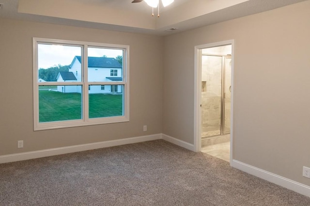 219 Donegal Dr, Clarksville, TN 37042 - photo 21