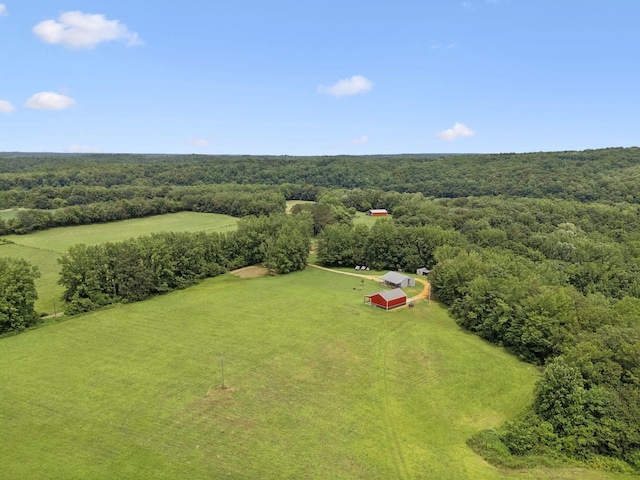 129 Taylor Phillips Rd, Hohenwald, TN 38462 - photo 2