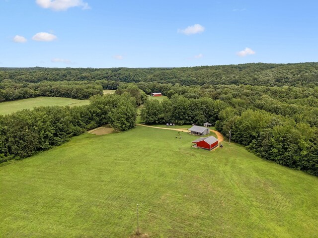 129 Taylor Phillips Rd, Hohenwald, TN 38462 - photo 34