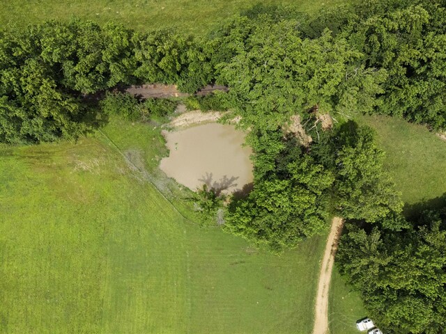 129 Taylor Phillips Rd, Hohenwald, TN 38462 - photo 50