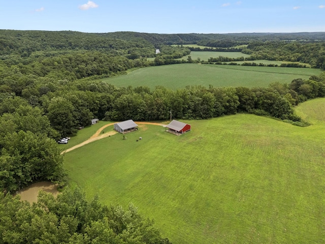 129 Taylor Phillips Rd, Hohenwald, TN 38462 - photo 28