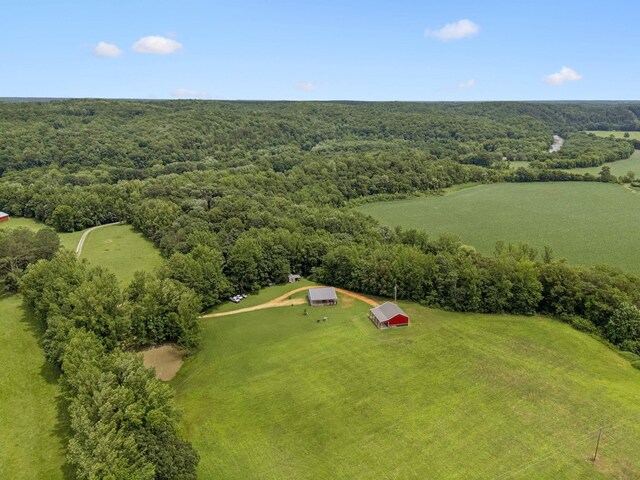 129 Taylor Phillips Rd, Hohenwald, TN 38462 - photo 47