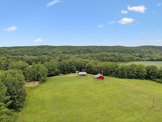 129 Taylor Phillips Rd, Hohenwald, TN 38462 - photo 33