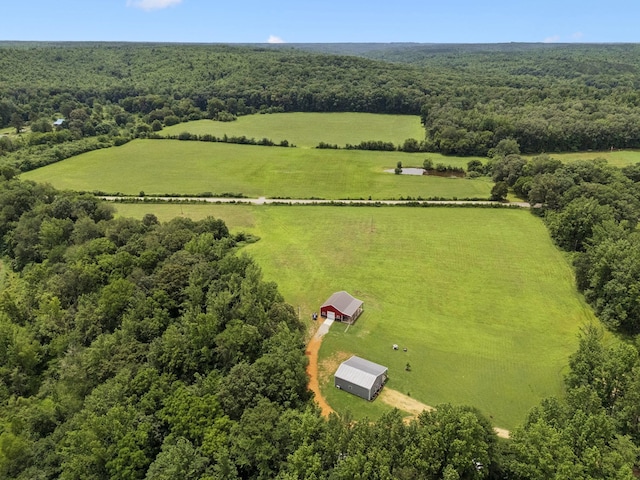 129 Taylor Phillips Rd, Hohenwald, TN 38462 - photo 48