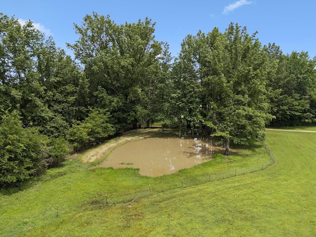 129 Taylor Phillips Rd, Hohenwald, TN 38462 - photo 39
