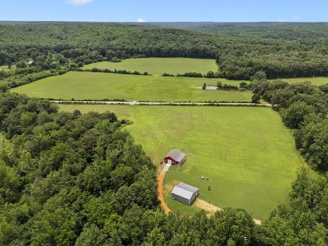 129 Taylor Phillips Rd, Hohenwald, TN 38462 - photo 49