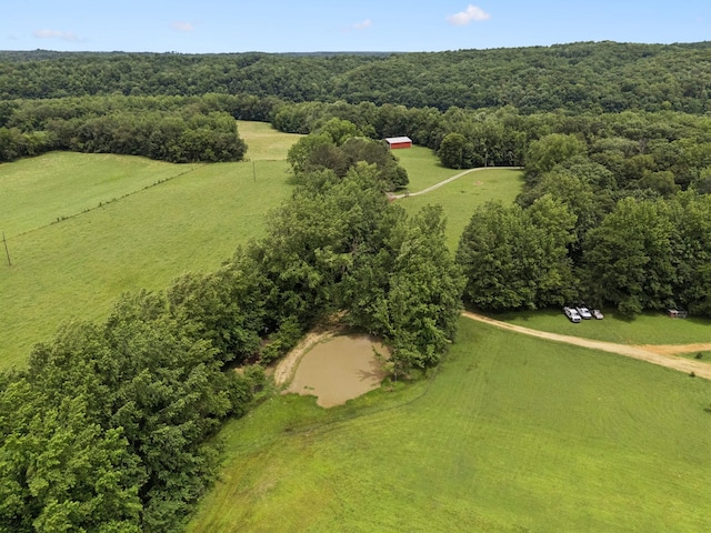 129 Taylor Phillips Rd, Hohenwald, TN 38462 - photo 29