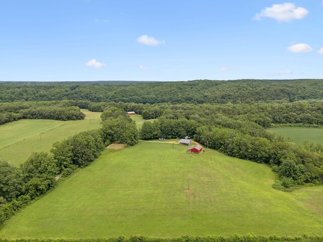 129 Taylor Phillips Rd, Hohenwald, TN 38462 - photo 35