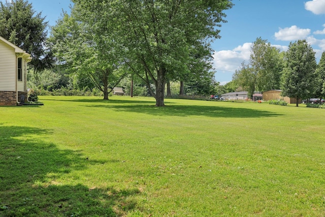 10615 Owens Chapel Rd, Springfield, TN 37172 - view of grassy yard