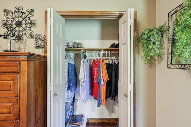 10615 Owens Chapel Rd, Springfield, TN 37172 - view of closet