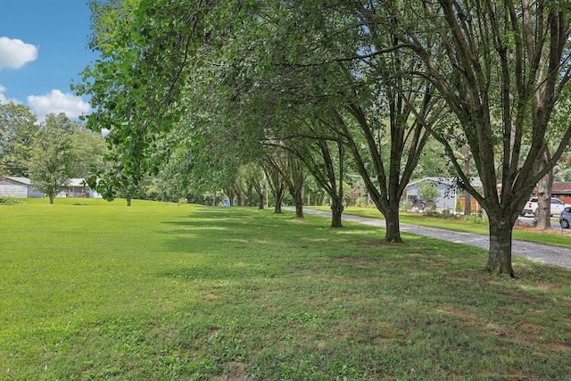10615 Owens Chapel Rd, Springfield, TN 37172 - view of grassy yard