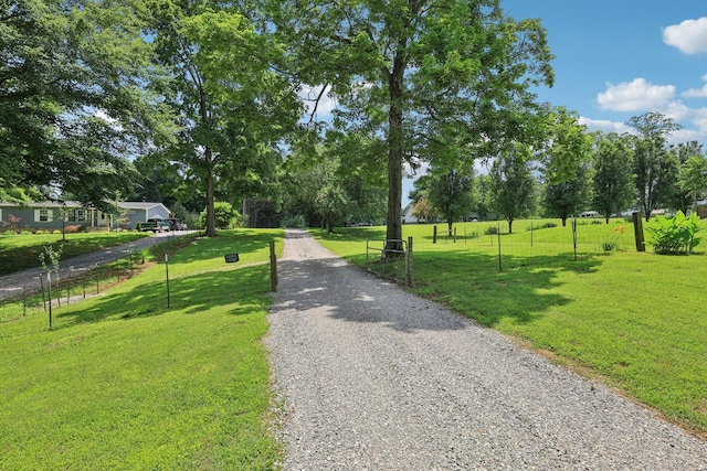 10615 Owens Chapel Rd, Springfield, TN 37172 - view of dirt / gravel road