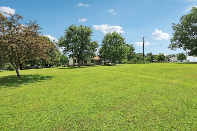 10615 Owens Chapel Rd, Springfield, TN 37172 - view of property's community featuring a yard