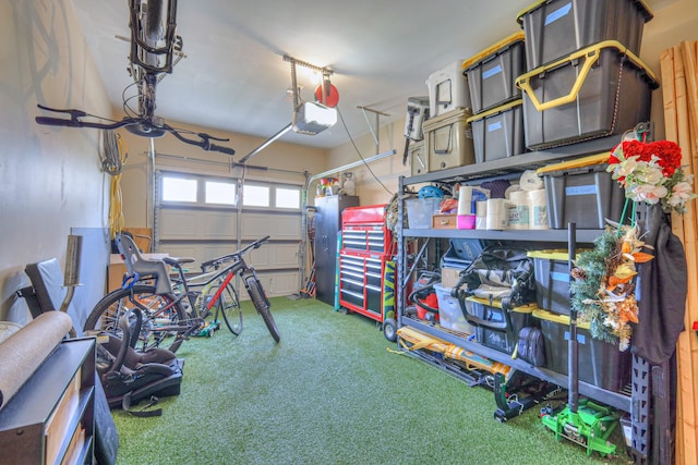 3105 Defilade Dr, Murfreesboro, TN 37128 - garage with a garage door opener