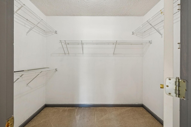 5531 Willow Oak Dr, Baxter, TN 38544 - spacious closet with carpet