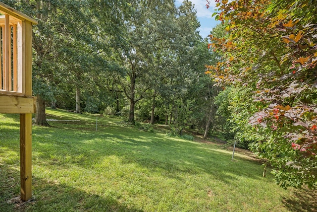 5531 Willow Oak Dr, Baxter, TN 38544 - view of grassy yard