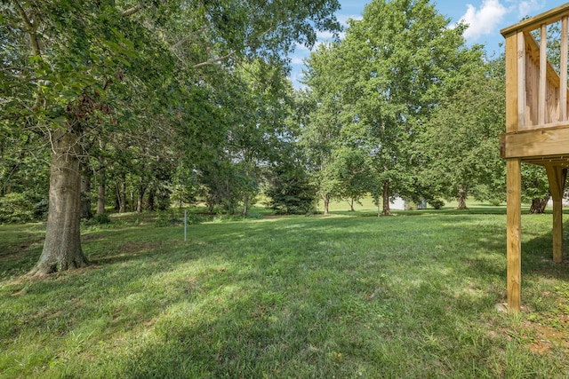 5531 Willow Oak Dr, Baxter, TN 38544 - view of green lawn