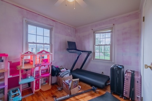 404 Mullican St, Mcminnville, TN 37110 - exercise area featuring wood finished floors, a ceiling fan, and ornamental molding
