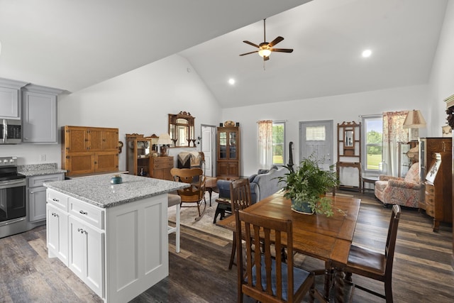 1072 Dugout Rd, Summertown, TN 38483 - kitchen with stainless steel appliances, open floor plan, plenty of natural light, high vaulted ceiling, and ceiling fan