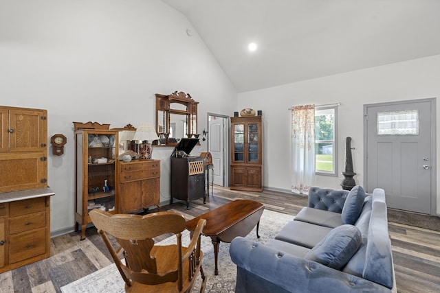 1072 Dugout Rd, Summertown, TN 38483 - living room featuring high vaulted ceiling and wood finished floors
