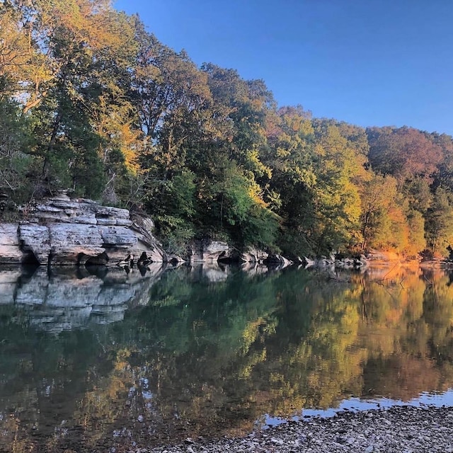 1072 Dugout Rd, Summertown, TN 38483 - water view with a heavily wooded area