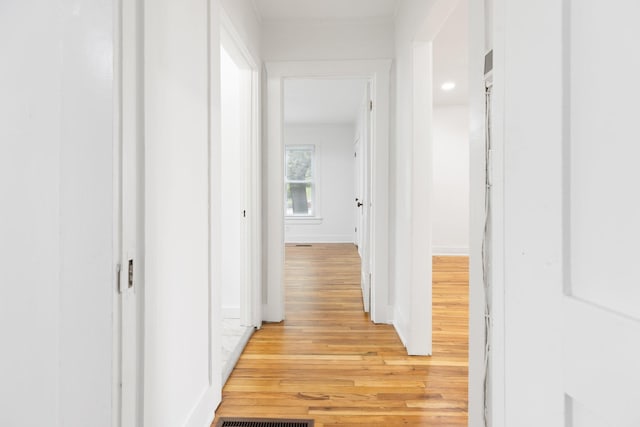 2108 Denham Ave, Columbia, TN 38401 - corridor with light wood-type flooring and crown molding