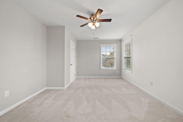 1343 Francesca Dr, Clarksville, TN 37042 - photo 28