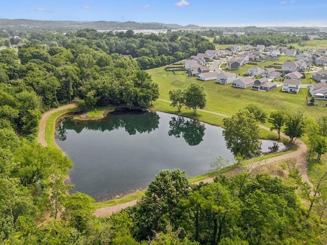 799 Ewell Farm Dr, Spring Hill, TN 37174 - photo 38