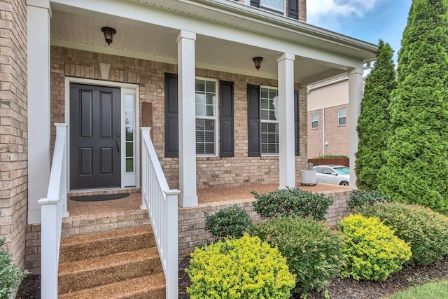 1060 Harvey Springs Dr, Spring Hill, TN 37174 - doorway to property featuring covered porch