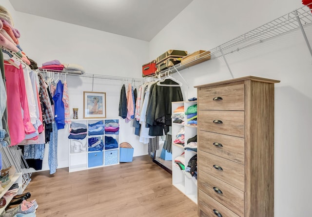 1060 Harvey Springs Dr, Spring Hill, TN 37174 - walk in closet featuring wood finished floors