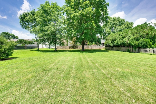 256 Granger View Cir, Franklin, TN 37064 - view of yard