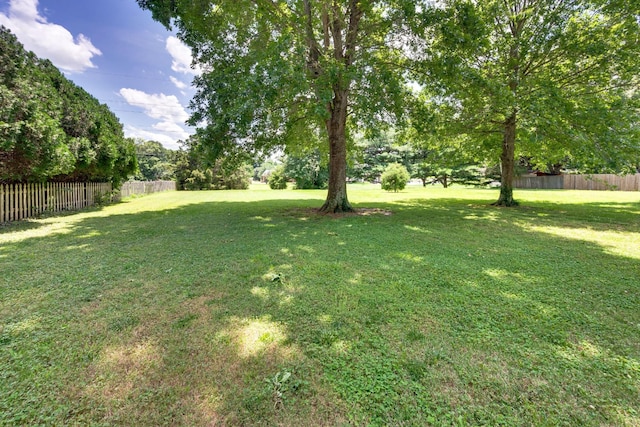 256 Granger View Cir, Franklin, TN 37064 - view of yard