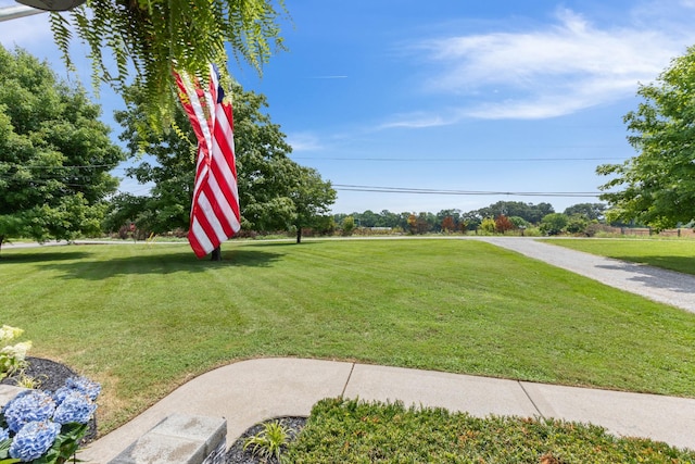 4429 Thomasville Rd, Chapmansboro, TN 37035 - photo 31