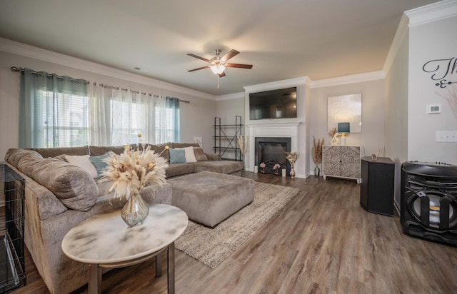 3231 Allerton Way, Murfreesboro, TN 37128 - photo 22