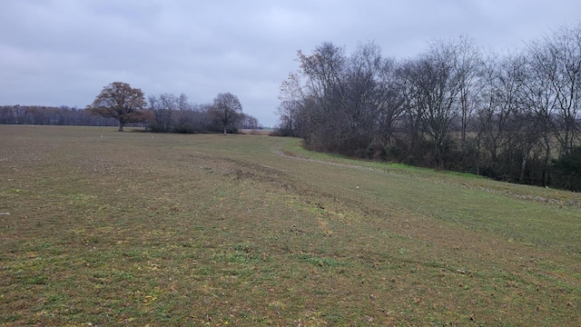 2917 Old Mcminnville Hwy, Woodbury, TN 37190 - photo 4