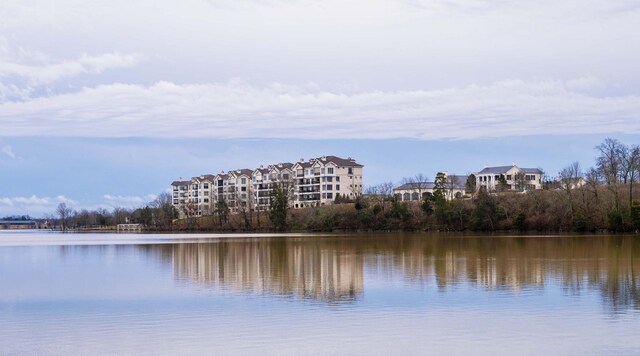 1024 Club View Dr # E102, Gallatin, TN 37066 - photo 40