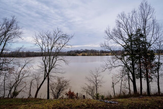 1024 Club View Dr # E102, Gallatin, TN 37066 - photo 41