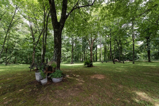 4150 Knipfer Rd, Joelton, TN 37080 - view of grassy yard featuring a wooded view