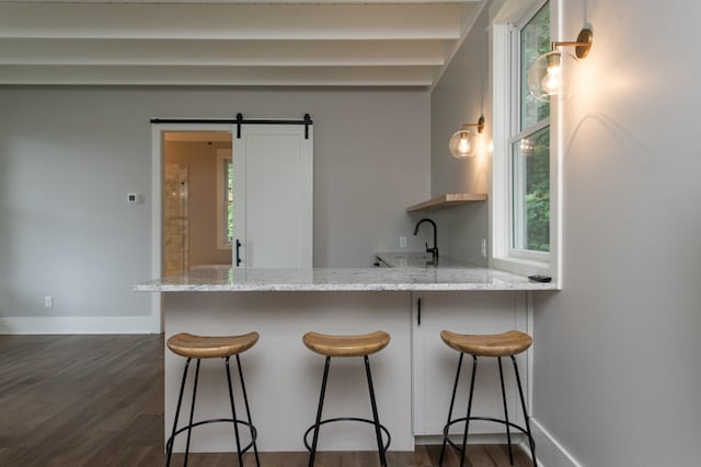 4150 Knipfer Rd, Joelton, TN 37080 - kitchen featuring light stone countertops, dark wood-type flooring, a peninsula, and healthy amount of natural light