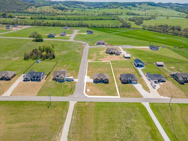3240 Ostella Rd, Cornersville, TN 37047 - photo 9