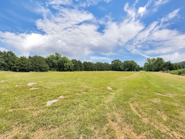 3510 Vesta Rd, Lebanon, TN 37090 - photo 29