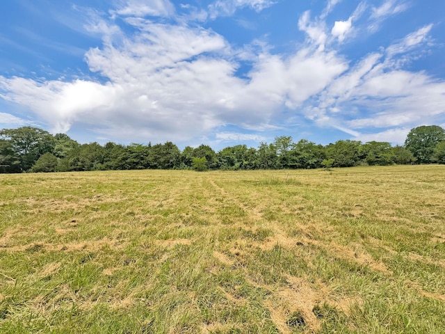 3510 Vesta Rd, Lebanon, TN 37090 - photo 25