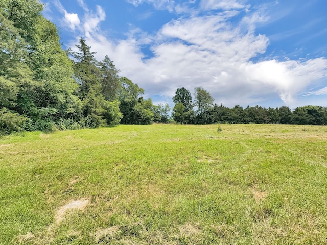 3510 Vesta Rd, Lebanon, TN 37090 - photo 44