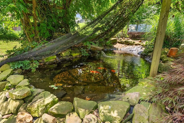 1805 Needmore Rd, Clarksville, TN 37042 - exterior view of a small pond