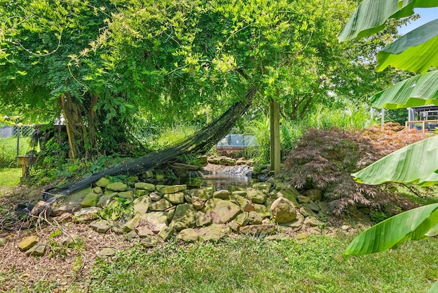 1805 Needmore Rd, Clarksville, TN 37042 - view of yard