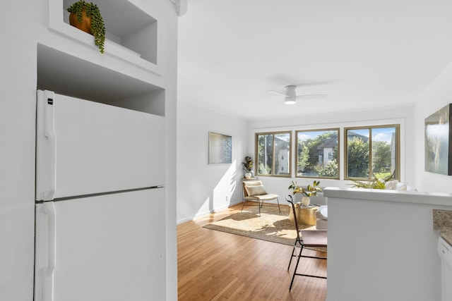 2020 Beech Ave Unit B13, Nashville, TN 37204 - kitchen with freestanding refrigerator, wood finished floors, and a ceiling fan